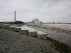 津波が襲った後の海浜公園。昔はキャンプ場やビーチだったそうです。